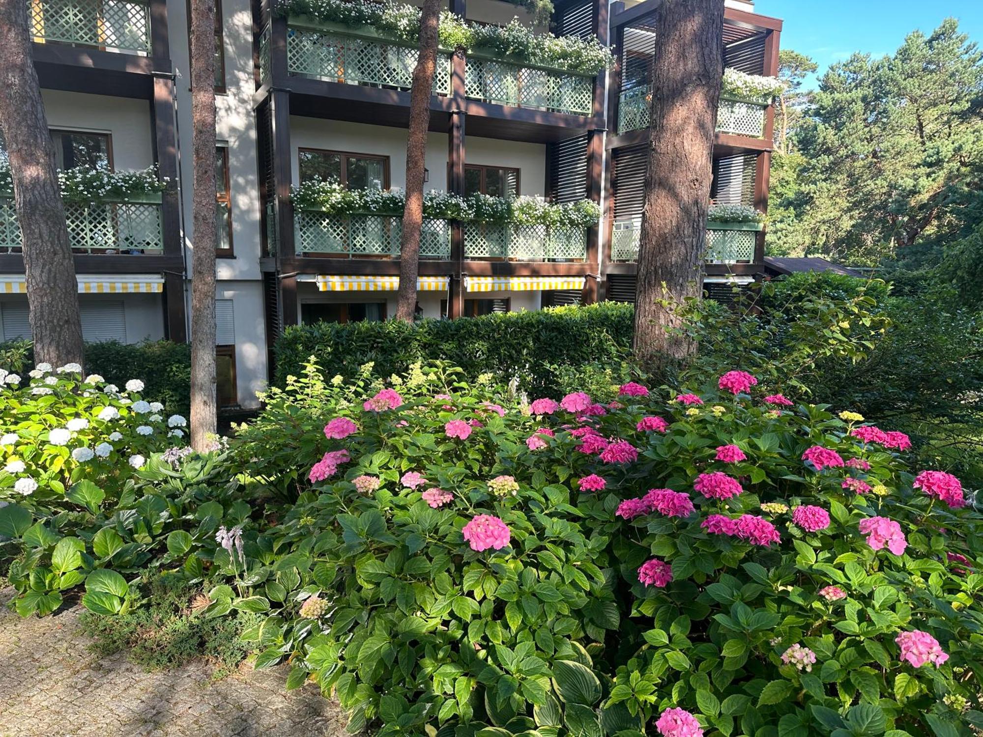 Apartament Bryza - Szczesliwa Dziewiatka Jurata Kültér fotó
